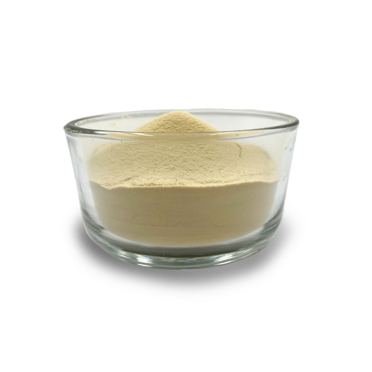 The_Sausage_Maker_celery_powder,_16_oz._for_curing_and_seasoning_meats