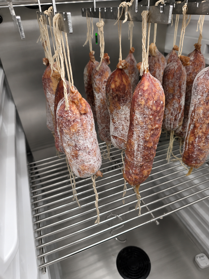 SteakAger Dry Curing and Fermenting Cabinet - Charcutier 160 (9.53 cu.ft.)