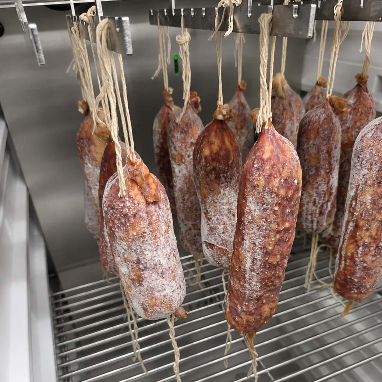 Multiple cured sausage links hanging on strings inside a stainless steel curing chamber, covered in a white dusty crust.
